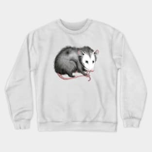 Sweet Possum Crewneck Sweatshirt
